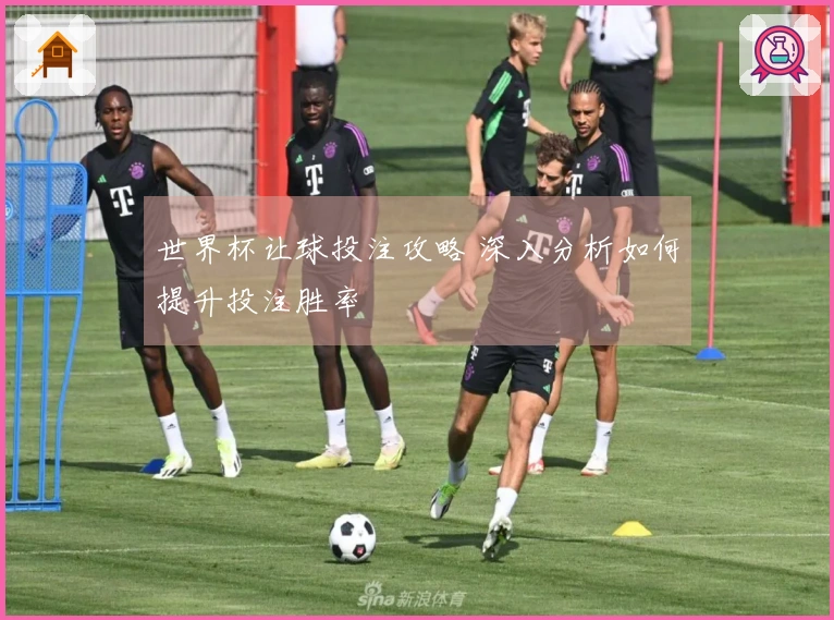 世界杯让球投注攻略 深入分析如何提升投注胜率