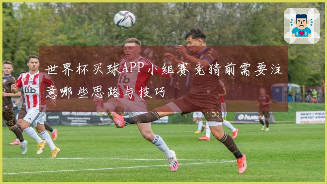 世界杯买球APP小组赛竞猜前需要注意哪些思路与技巧
