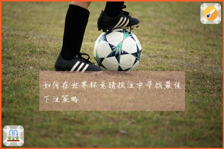如何在世界杯竞猜投注中寻找最佳下注策略