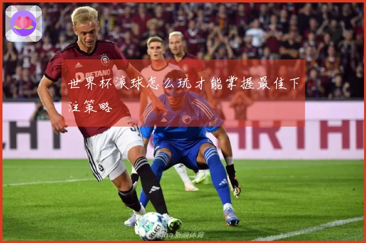 世界杯滚球怎么玩才能掌握最佳下注策略