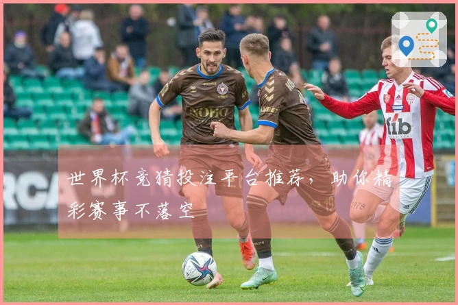 世界杯竞猜投注平台推荐，助你精彩赛事不落空