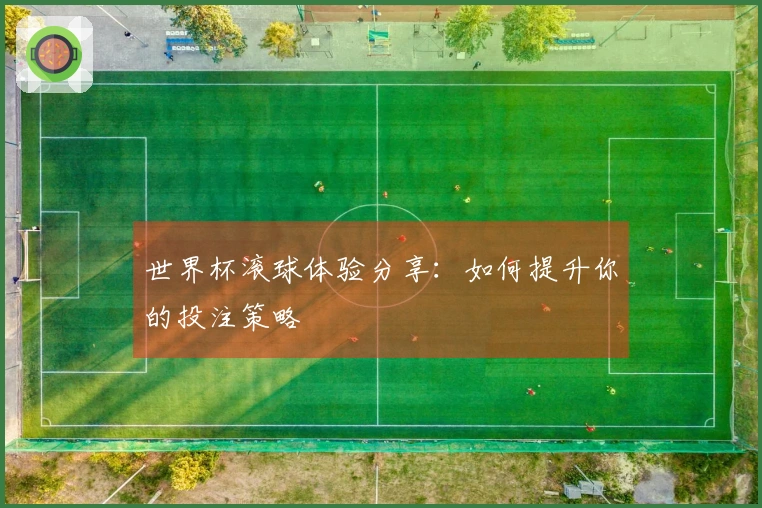 世界杯滚球体验分享：如何提升你的投注策略