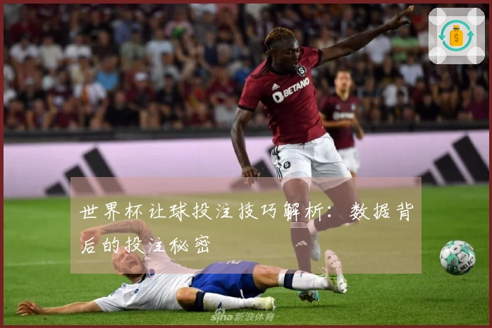 世界杯让球投注技巧解析：数据背后的投注秘密