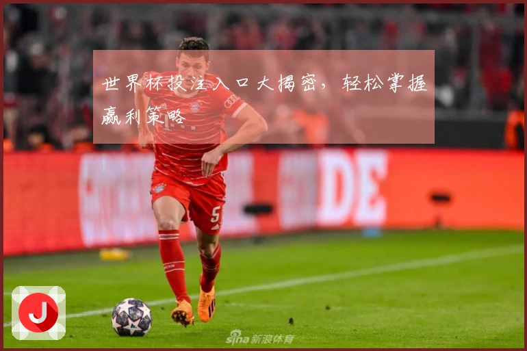 世界杯投注入口大揭密，轻松掌握赢利策略
