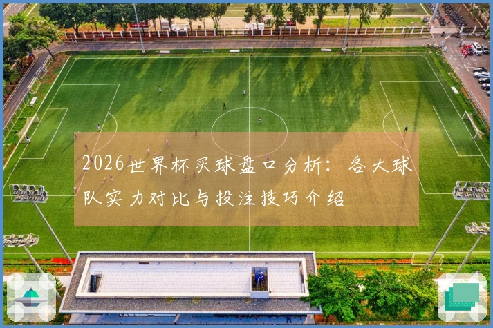 2026世界杯买球盘口分析：各大球队实力对比与投注技巧介绍
