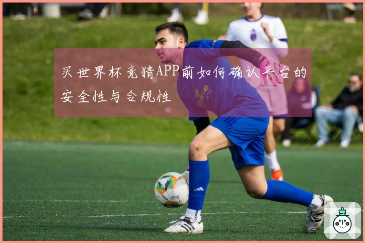 买世界杯竞猜APP前如何确认平台的安全性与合规性