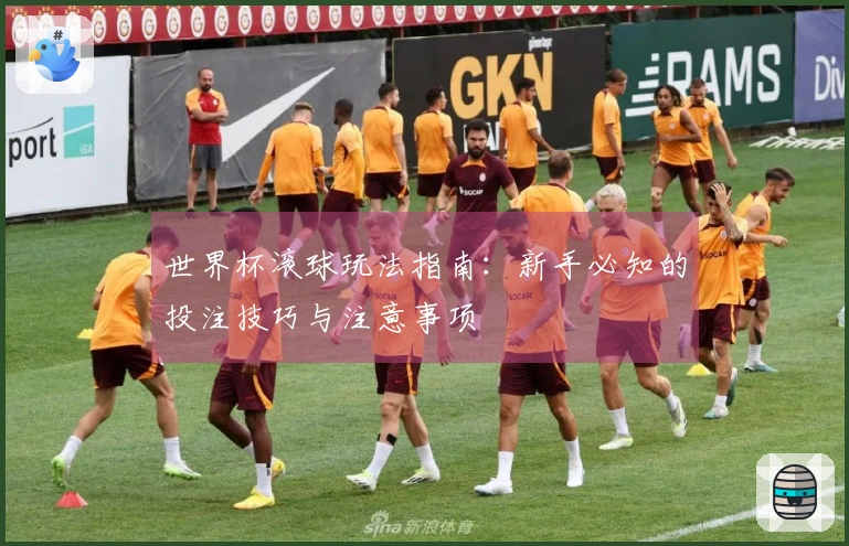 世界杯滚球玩法指南：新手必知的投注技巧与注意事项