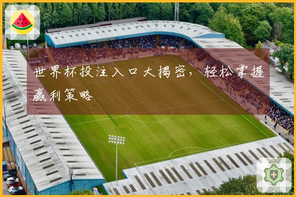 世界杯投注入口大揭密，轻松掌握赢利策略