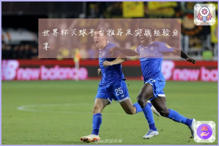 世界杯买球平台推荐及实战经验分享