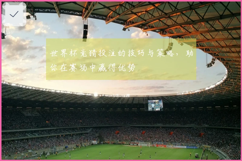 世界杯竞猜投注的技巧与策略，助你在赛场中赢得优势