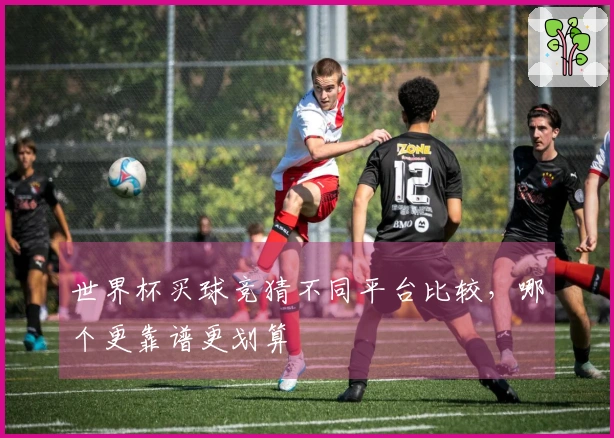 世界杯买球竞猜不同平台比较，哪个更靠谱更划算