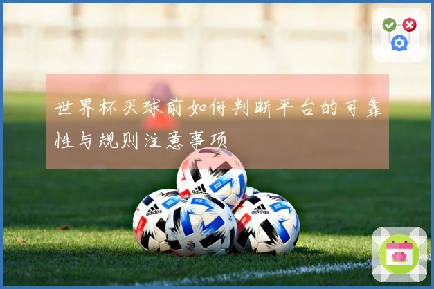 世界杯买球前如何判断平台的可靠性与规则注意事项