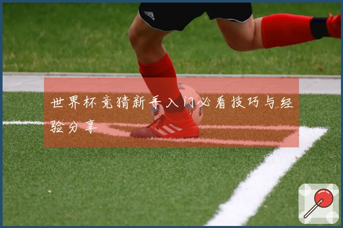 世界杯竞猜新手入门必看技巧与经验分享