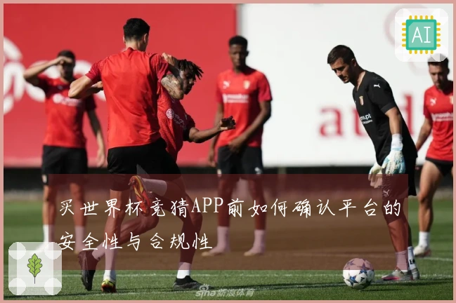 买世界杯竞猜APP前如何确认平台的安全性与合规性